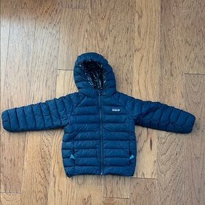 Patagonia Reversible Down Sweater Hoody